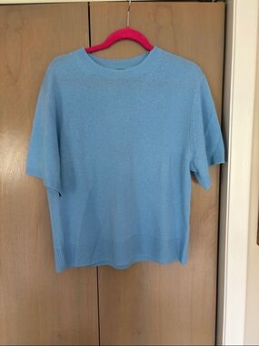 Banana Republic Light Blue Short Sleeve Cashmere Crewneck Sweater